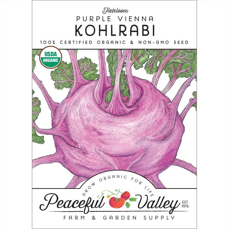 Purple Vienna Kohlrabi Seeds (Organic) 1 Purple Vienna Kohlrabi Seeds (Organic)