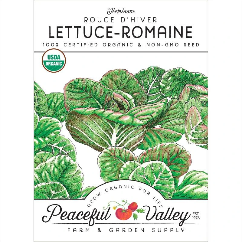 Rouge D'Hiver Lettuce Seeds (Organic) 1 Rouge D'Hiver Lettuce Seeds (Organic)