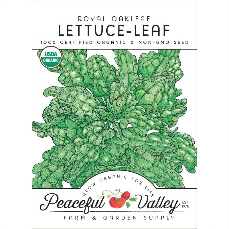 Royal Oakleaf Lettuce Seeds (Organic) 1 Royal Oakleaf Lettuce Seeds (Organic)