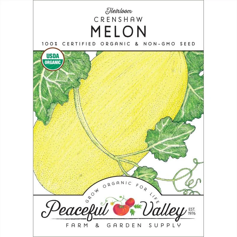 Crenshaw Melon Seeds (Organic) 1 Crenshaw Melon Seeds (Organic)