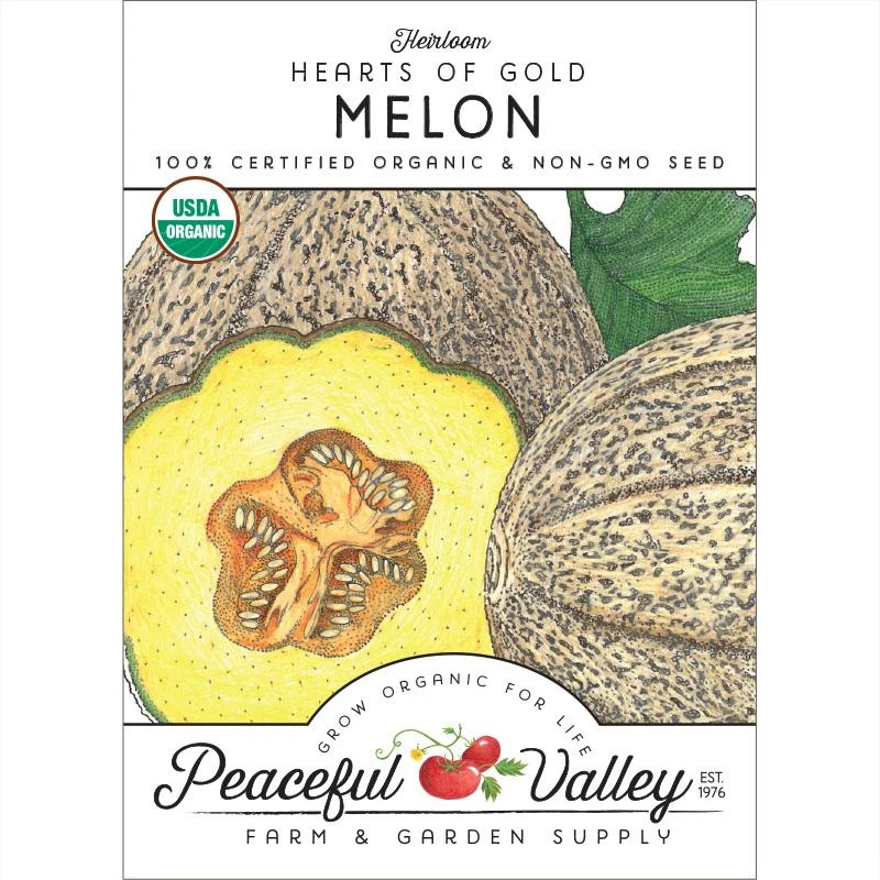 Hearts Of Gold Melon Seeds (Organic) 1 Hearts Of Gold Melon Seeds (Organic)