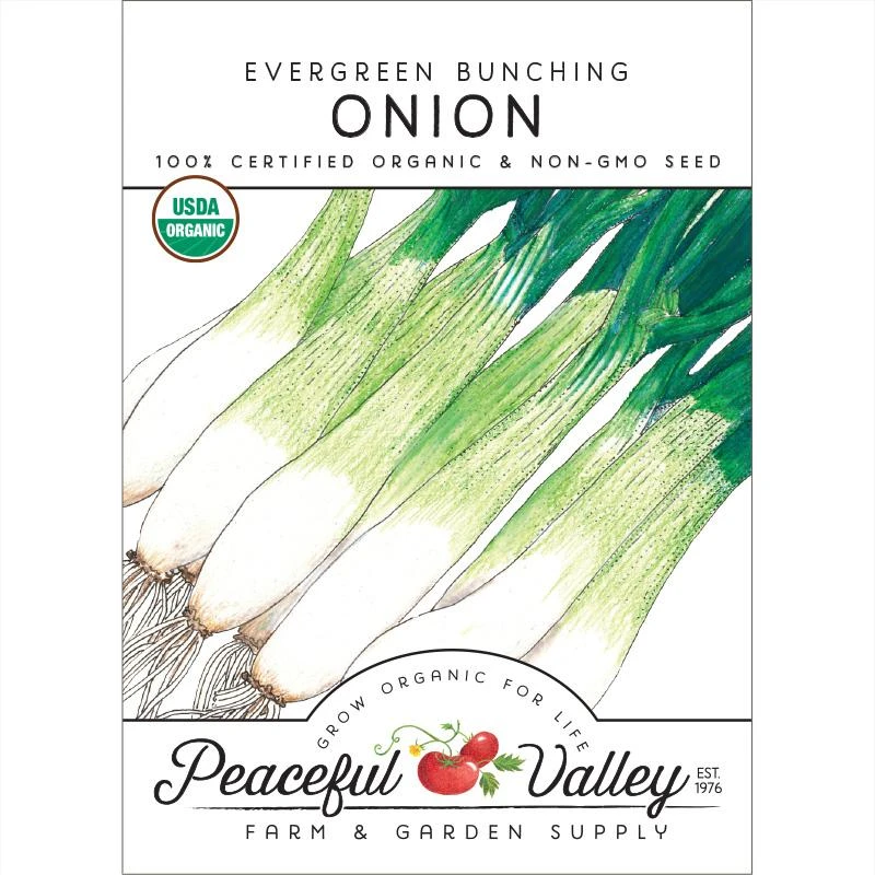 Evergreen Bunching Onion Seeds (Organic) 1 Evergreen Bunching Onion Seeds (Organic)