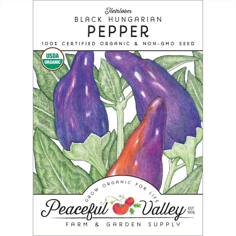 Black Hungarian Pepper Seeds (Organic) 1 Black Hungarian Pepper Seeds (Organic)