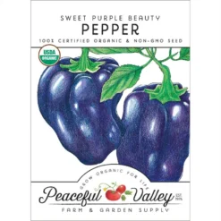 Purple Beauty Sweet Pepper Seeds (Organic)