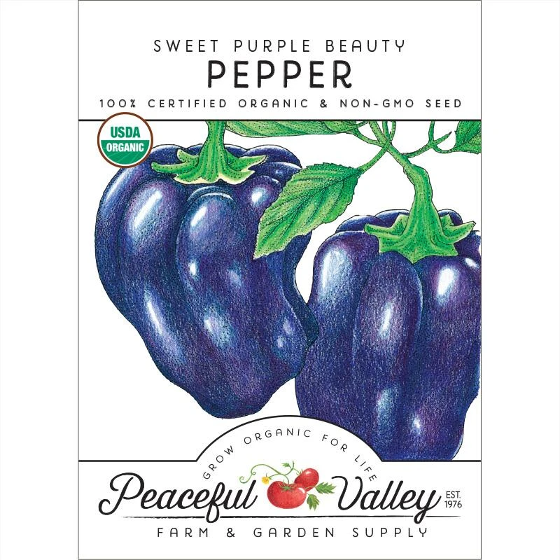 Purple Beauty Sweet Pepper Seeds (Organic) 1 Purple Beauty Sweet Pepper Seeds (Organic)