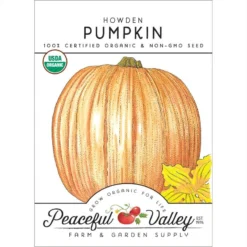 Howden Pumpkin Seeds (Organic)