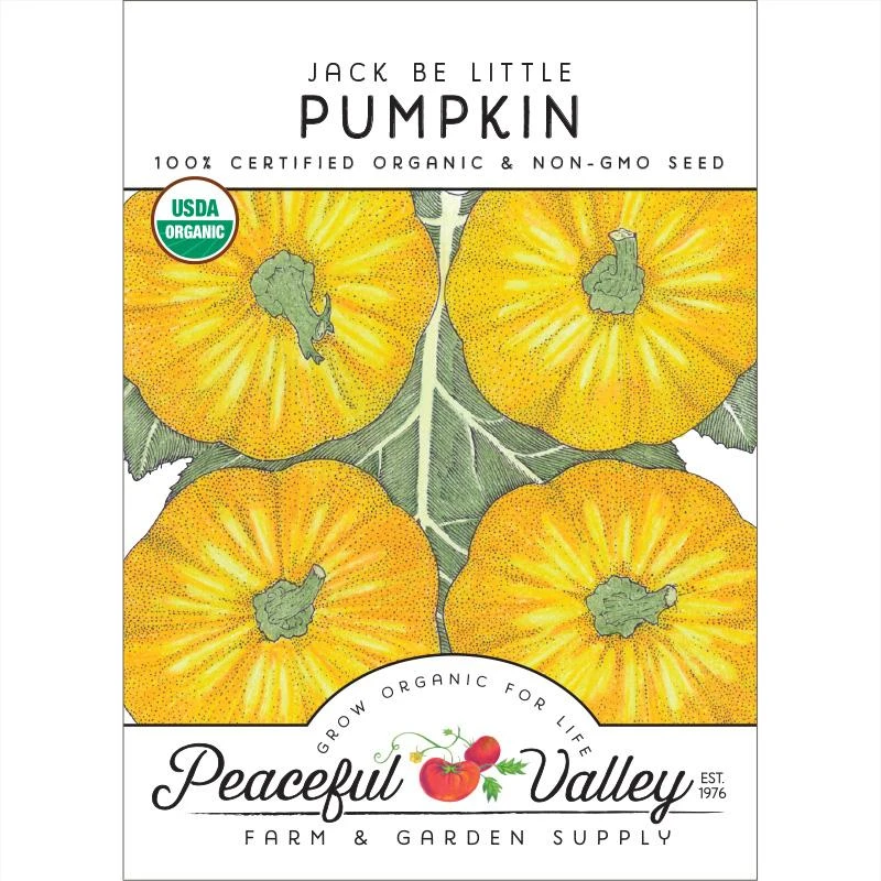 Jack Be Little Pumpkin Seeds (Organic) 1 Jack Be Little Pumpkin Seeds (Organic)