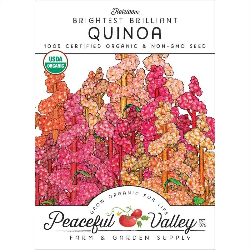 Brightest Brilliant Quinoa Seeds (Organic) 1 Brightest Brilliant Quinoa Seeds (Organic)
