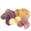 Rainbow Mix Potato (Organic)