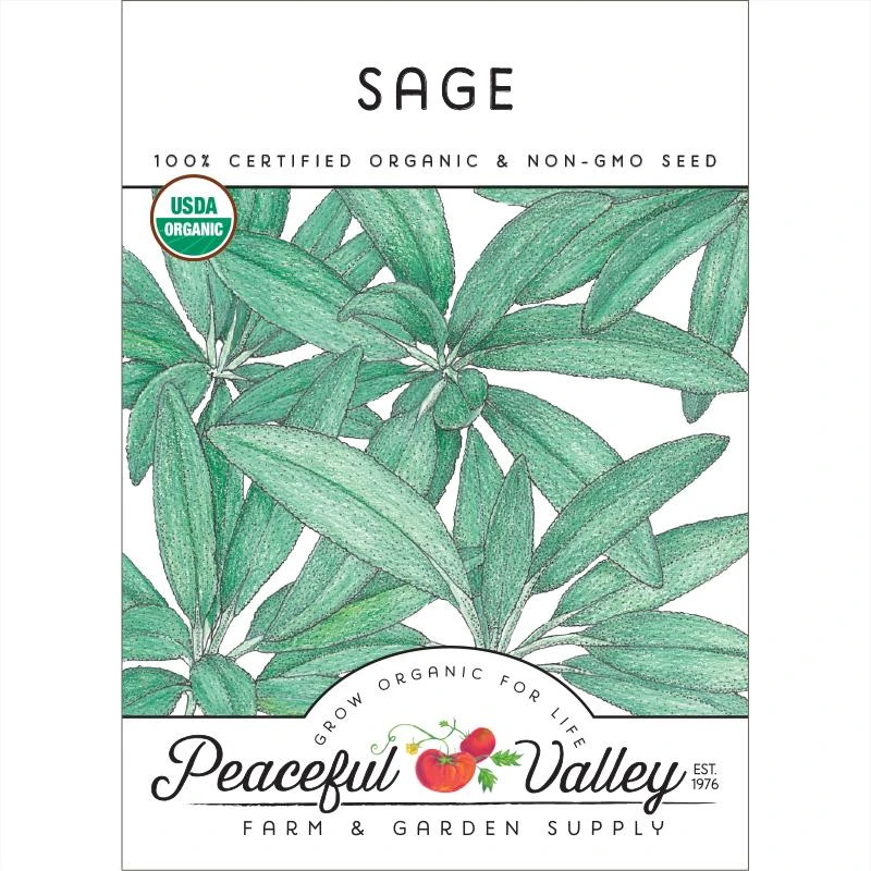 Organic Sage 1 Organic Sage