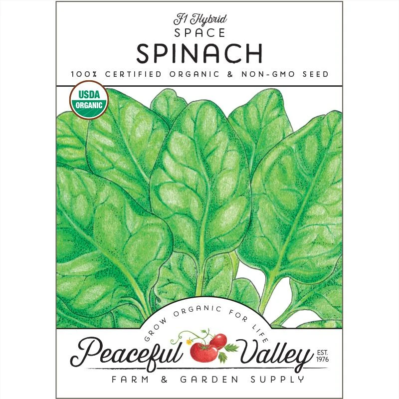 Space Spinach Seeds (Organic) 1 Space Spinach Seeds (Organic)