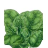Organic Spinach, Verdil (1/4 Lb)