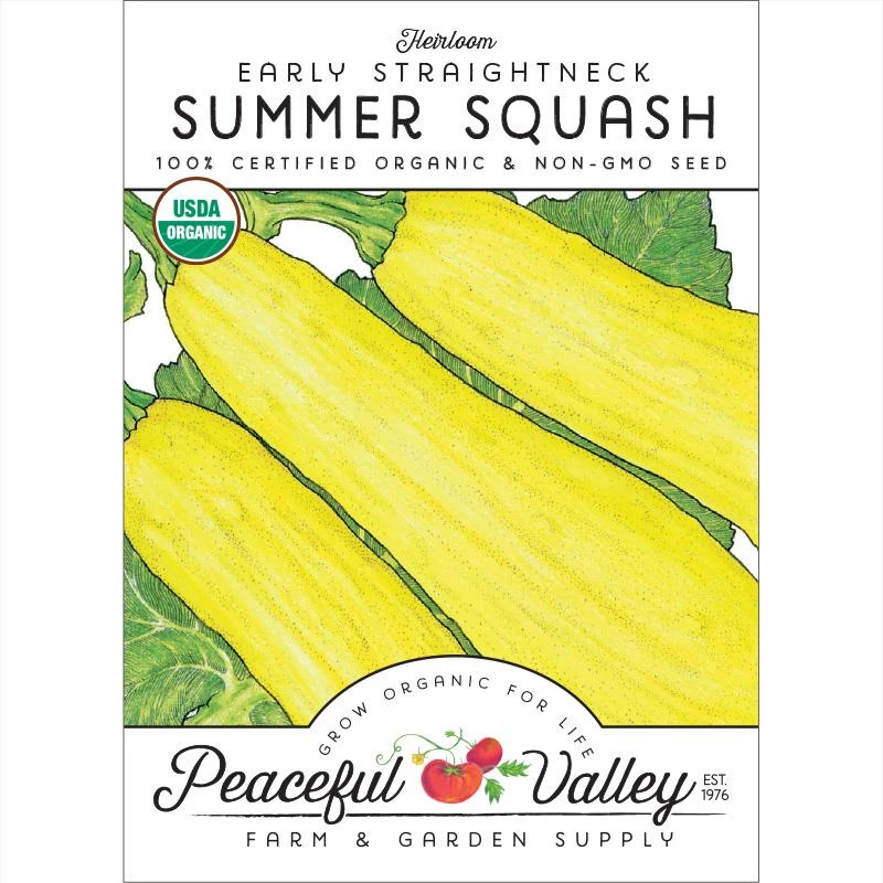 Early Straightneck Summer Squash Seeds (Organic) 1 Early Straightneck Summer Squash Seeds (Organic)