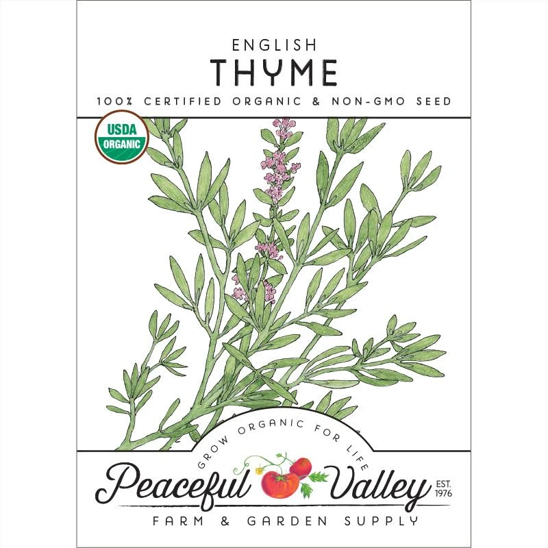 Organic Thyme, English 1 Organic Thyme, English