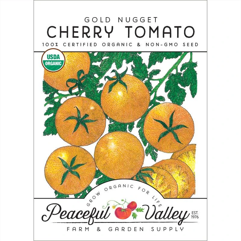 Gold Nugget Tomato Seeds (Organic) 1 Gold Nugget Tomato Seeds (Organic)