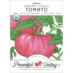 Prudens Purple Tomato Seeds (Organic)