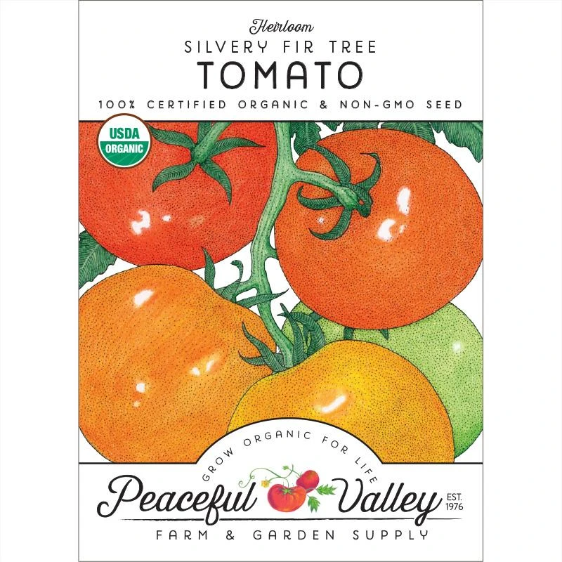 Silvery Fir Tree Tomato Seeds (Organic) 1 Silvery Fir Tree Tomato Seeds (Organic)