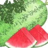Organic Watermelon, Crimson Sweet (1/4 Lb)