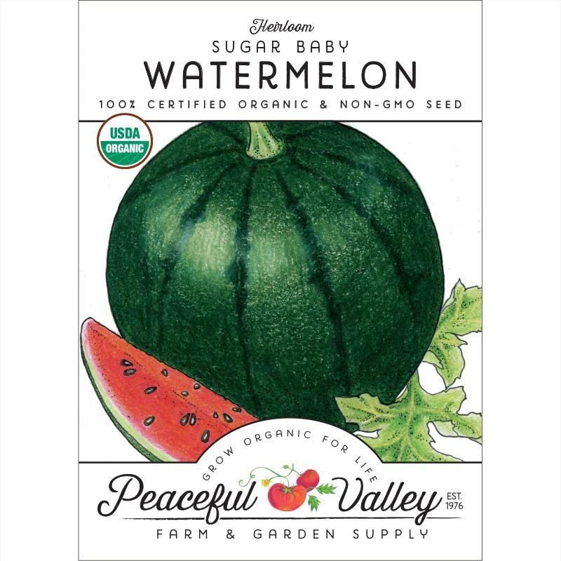 Sugar Baby Watermelon Seeds (Organic) 1 Sugar Baby Watermelon Seeds (Organic)