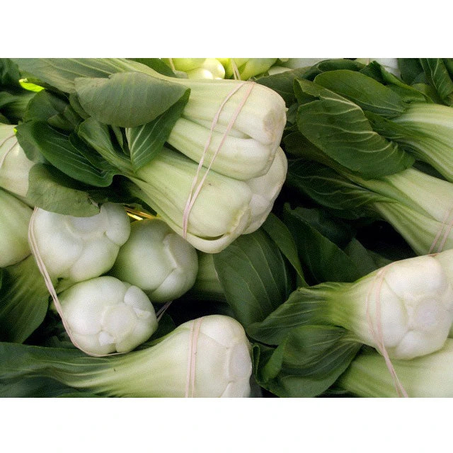 Pak Choi Baby Shanghai Greens Seeds (Organic) 3 Pak Choi Baby Shanghai Greens Seeds (Organic) - Image 3