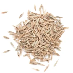 Peaceful Valley Premium Lawn Seed Mix (5 Lb)