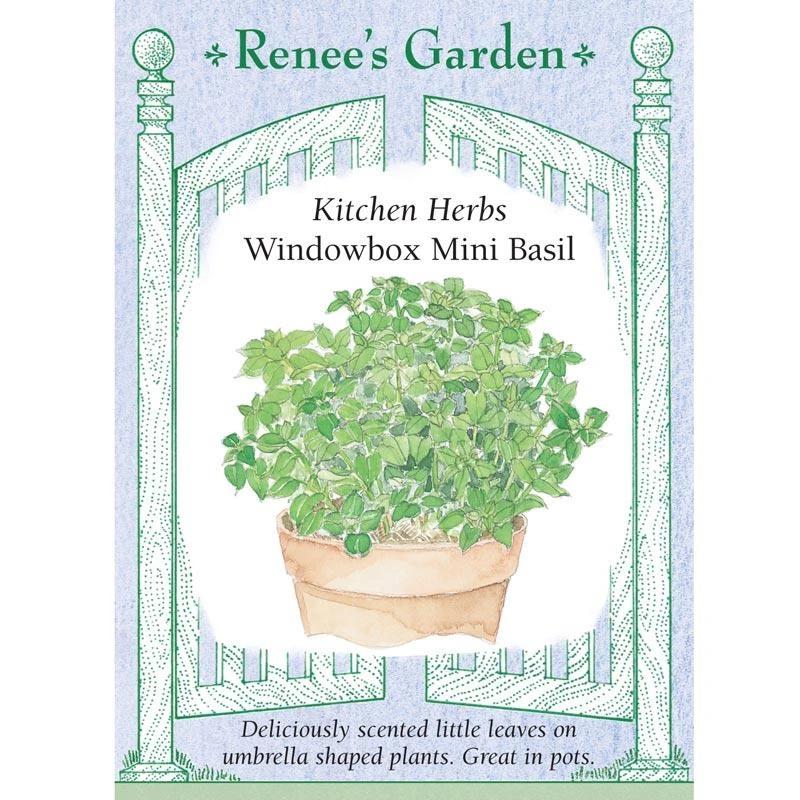 Renee's Garden Basil Mini Windowbox 1 Renee's Garden Basil Mini Windowbox