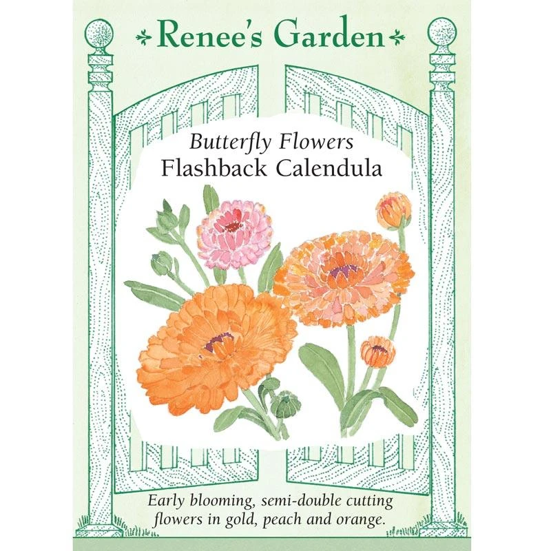 Renee's Garden Calendula Butterfly Flashback (Heirloom) 1 Renee's Garden Calendula Butterfly Flashback (Heirloom)