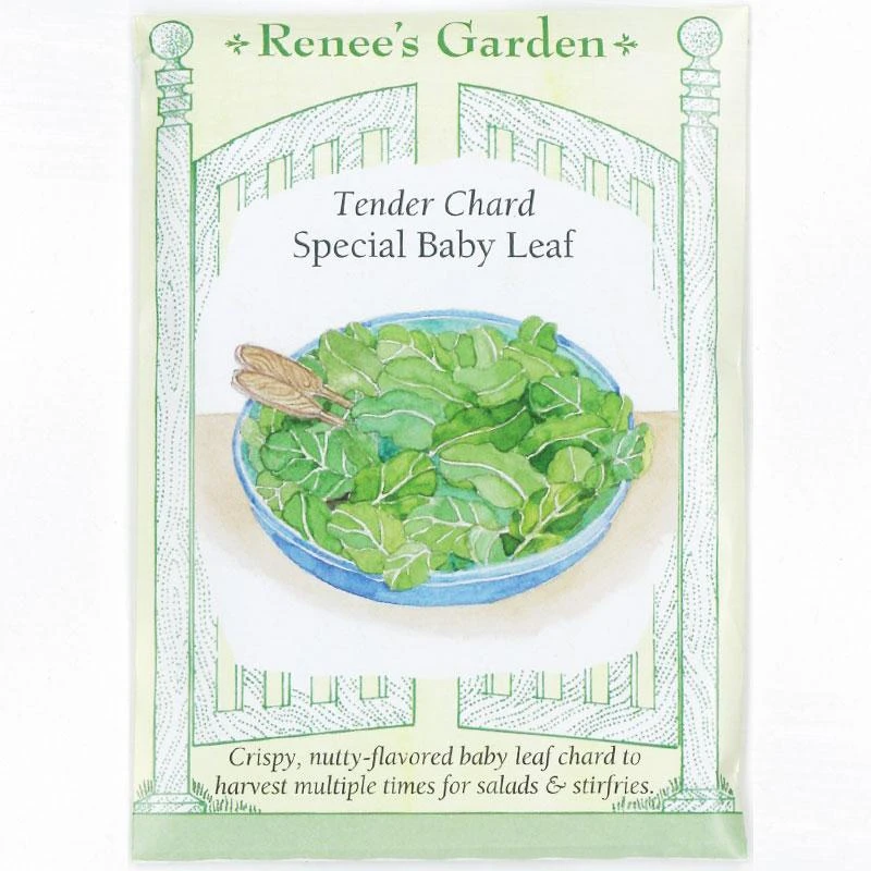 Renee's Garden Chard Tender Baby Leaf 1 Renee's Garden Chard Tender Baby Leaf