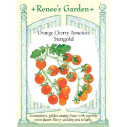Renee's Garden Cherry Tomato Sungold Orange