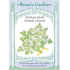 Renee's Garden Chervil French (Heirloom)