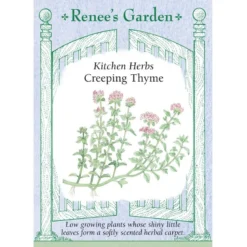 Renee's Garden Creeping Thyme