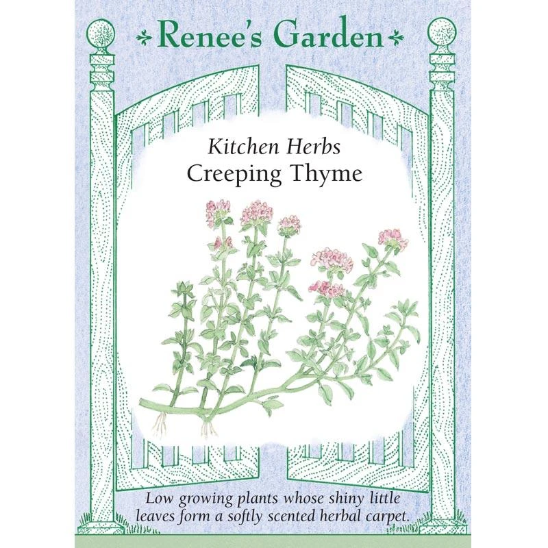 Renee's Garden Creeping Thyme 1 Renee's Garden Creeping Thyme