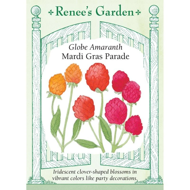 Renee's Garden Globe Amaranth Mardi Gras Parade (Heirloom) 1 Renee's Garden Globe Amaranth Mardi Gras Parade (Heirloom)