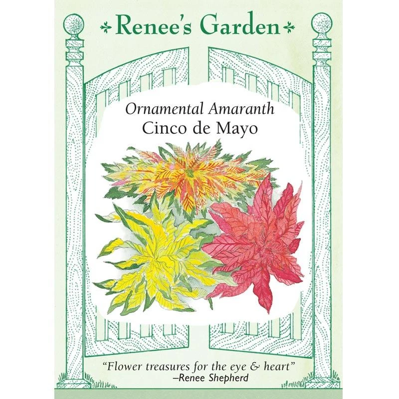 Renee's Garden Ornamental Amaranth Cinco De Mayo 1 Renee's Garden Ornamental Amaranth Cinco De Mayo