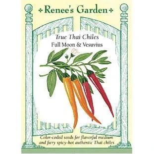 Renee's Garden Pepper Chile Thai Duo Orange Full Moon & Red Vesuvius 1 Renee's Garden Pepper Chile Thai Duo Orange Full Moon & Red Vesuvius
