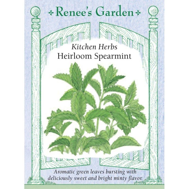 Renee's Garden Spearmint Italian (Heirloom) 1 Renee's Garden Spearmint Italian (Heirloom)