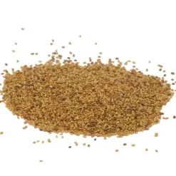 Ladak Alfalfa - Raw Seed (lb) 5 Ladak Alfalfa - Raw Seed (lb) -Flourish Seeds scl035 hi