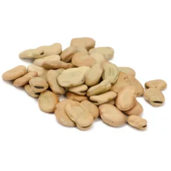 Organic Bean, Fava Broad Windsor (1/2 Lb) -Flourish Seeds scl705 cat 1
