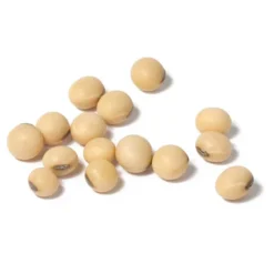 Soybeans - Raw Seed (lb) 7 Soybeans - Raw Seed (lb) -Flourish Seeds scl860 cat