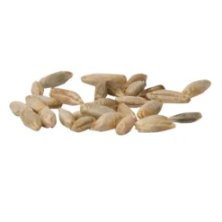 Cereal Rye Seed (Cold Hardy) (lb) 9 Cereal Rye Seed (Cold Hardy) (lb) -Flourish Seeds scn395a