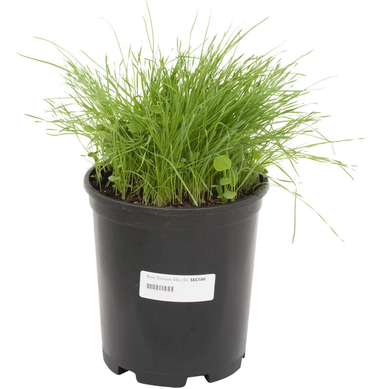 Peaceful Valley Basic Erosion Control Mix - Nitrocoated Seed (lb) 2 Peaceful Valley Basic Erosion Control Mix - Nitrocoated Seed (lb) - Image 2