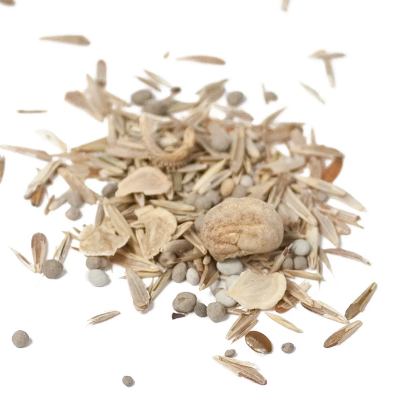 Peaceful Valley Premium Erosion Mix - Nitrocoated Seed (lb) 2 Peaceful Valley Premium Erosion Mix - Nitrocoated Seed (lb) - Image 2