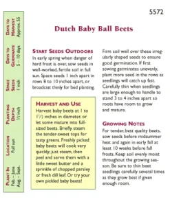 Renee's Garden Beet Dutch Baby Ball 5 Renee's Garden Beet Dutch Baby Ball -Flourish Seeds snv4032 pb