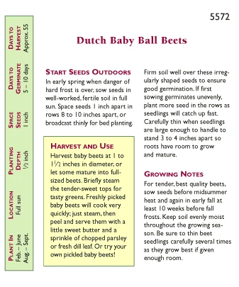 Renee's Garden Beet Dutch Baby Ball 3 Renee's Garden Beet Dutch Baby Ball - Image 3