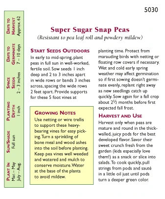 Renee's Garden Pea Snap Super Sugar 3 Renee's Garden Pea Snap Super Sugar - Image 3