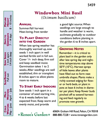 Renee's Garden Basil Mini Windowbox 2 Renee's Garden Basil Mini Windowbox - Image 2
