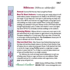 Renee's Garden Hibiscus Zinger Herbal Tea 5 Renee's Garden Hibiscus Zinger Herbal Tea -Flourish Seeds snv4182 c