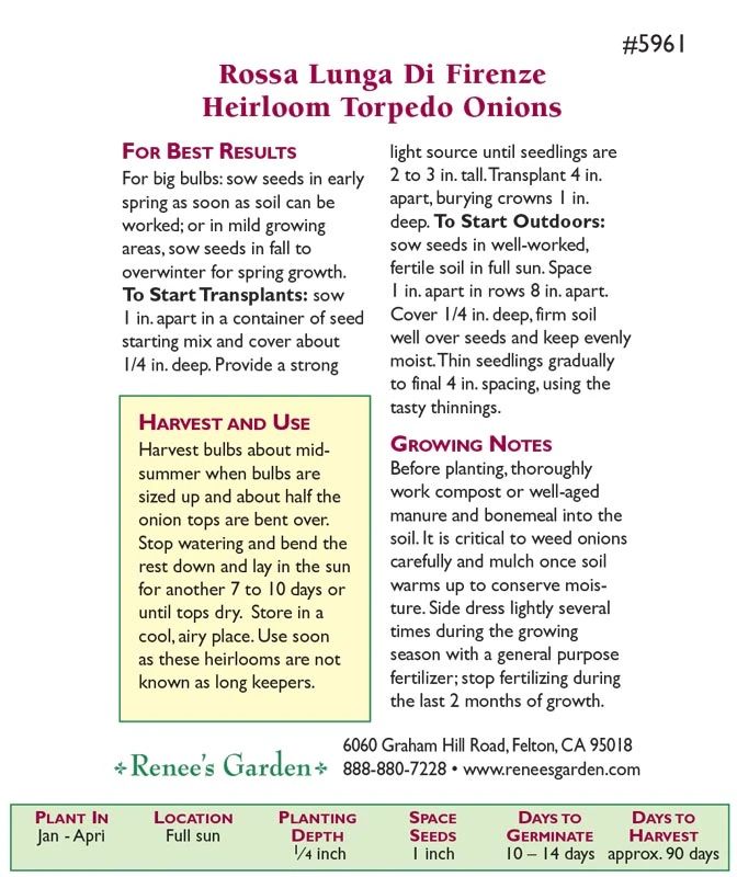 Renee's Garden Onion Rossa Lunga Di Firenze (Heirloom) 2 Renee's Garden Onion Rossa Lunga Di Firenze (Heirloom) - Image 2