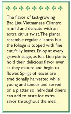 Renee's Garden Cilantro Vietnamese Bac Lieu (Heirloom) 5 Renee's Garden Cilantro Vietnamese Bac Lieu (Heirloom) -Flourish Seeds snv4225 b