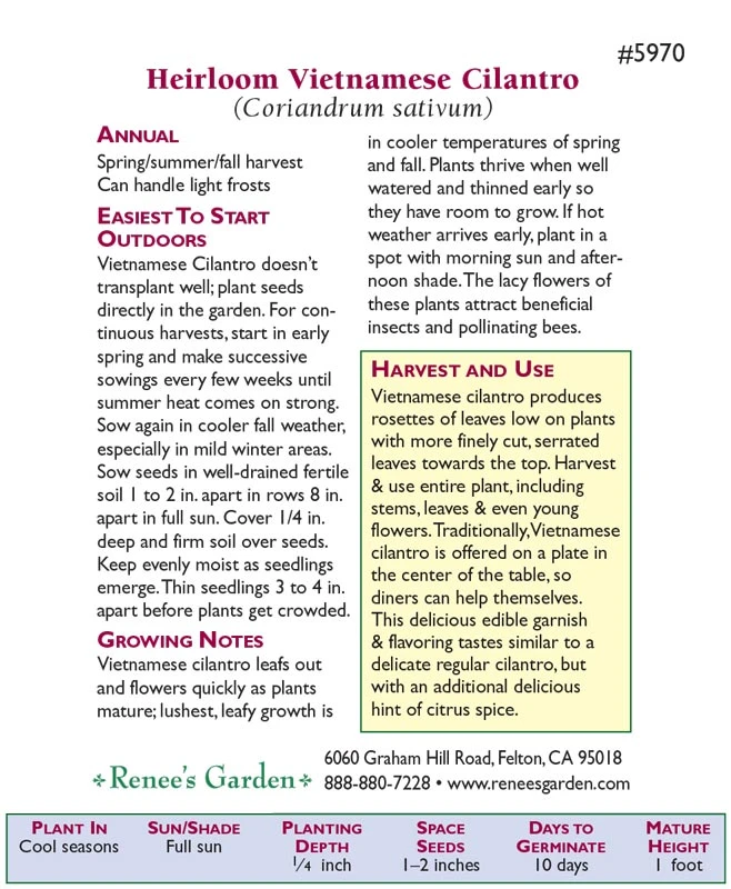 Renee's Garden Cilantro Vietnamese Bac Lieu (Heirloom) 2 Renee's Garden Cilantro Vietnamese Bac Lieu (Heirloom) - Image 2